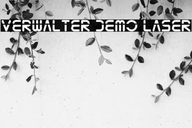 Verwalter Demo Laser Font examples
