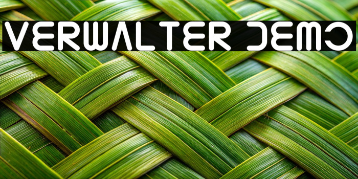 Verwalter Demo Example 1