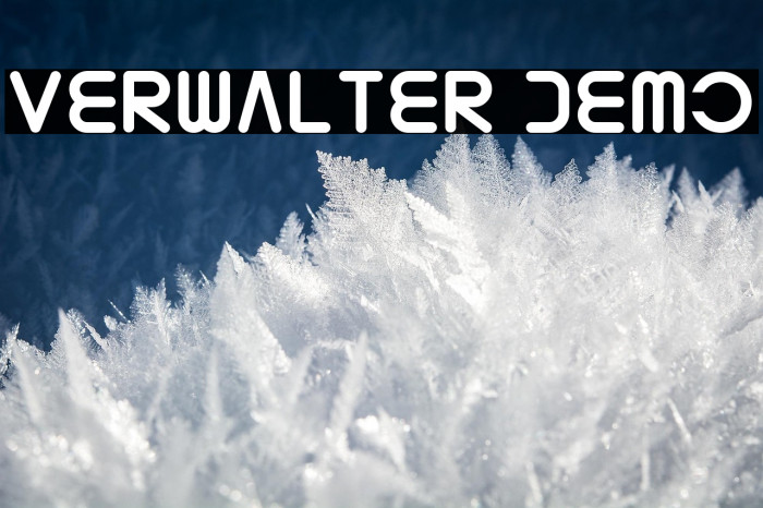 Verwalter Demo Example 2