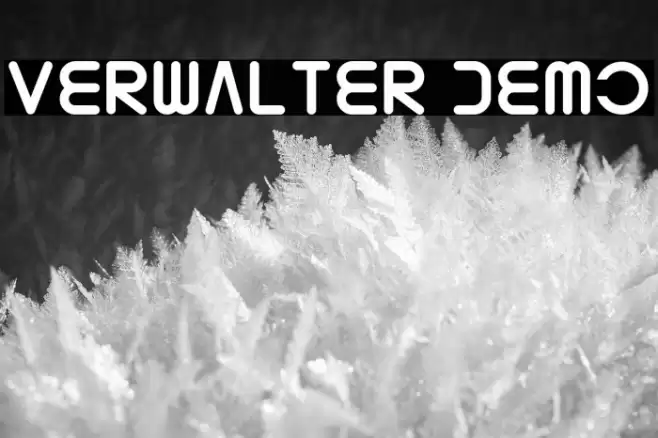 Verwalter Demo Шрифта examples