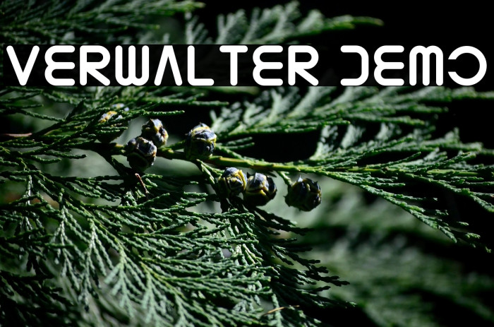 Verwalter Demo Example 3