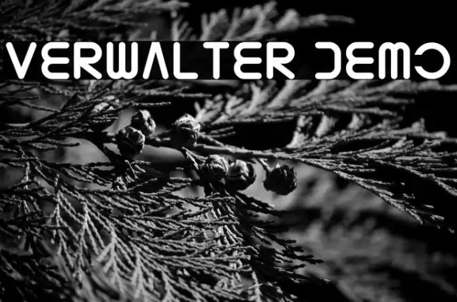 Verwalter Demo Шрифта examples