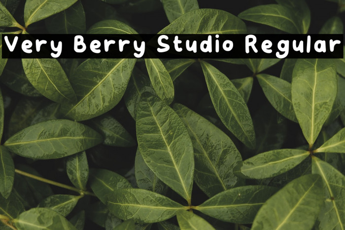Very Berry Studio Regular خط examples