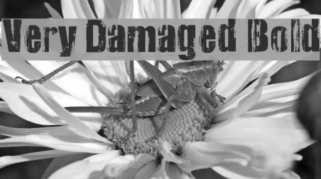 Very Damaged Bold Font examples