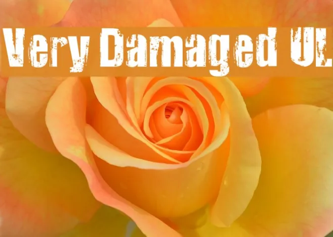 Very Damaged UL Example 2