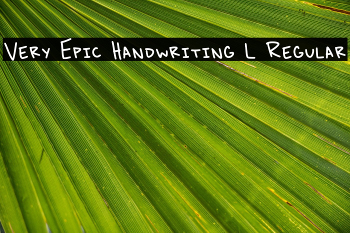 Very Epic Handwriting L Regular Example 1