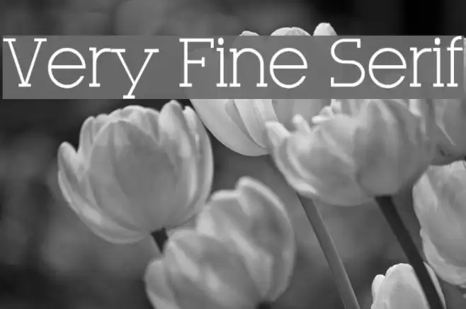 Very Fine Serif Caratteri examples