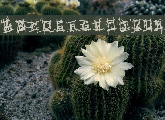 Very Short Fuse Font examples