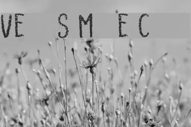 Very Simple Chalk Font examples