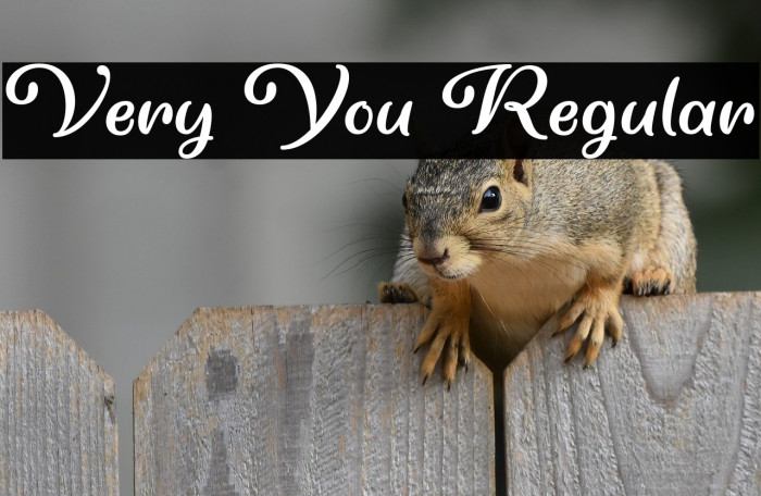 Very You Regular Example 1