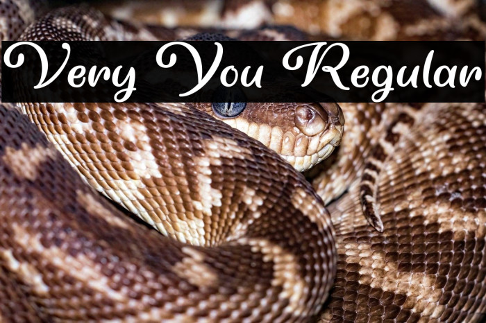 Very You Regular Example 2