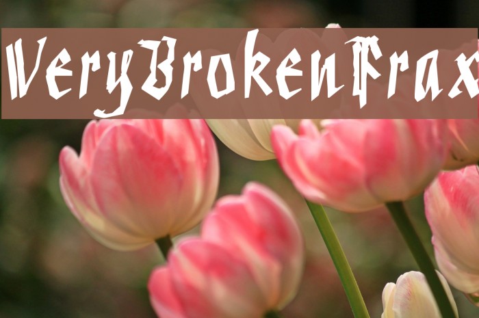 VeryBrokenFrax Example 1