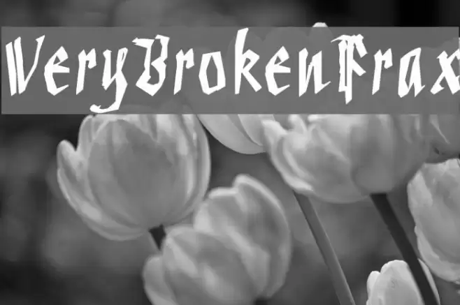 VeryBrokenFrax Font examples
