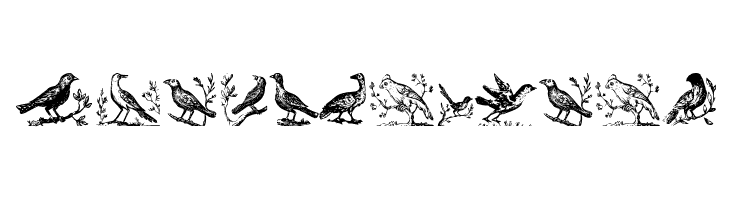 VeryOldBirds  Descarca Fonturi Gratis