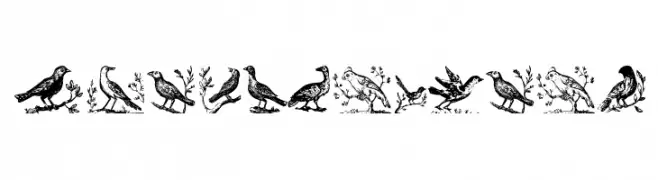 VeryOldBirds  フリーフォントのダウンロード
