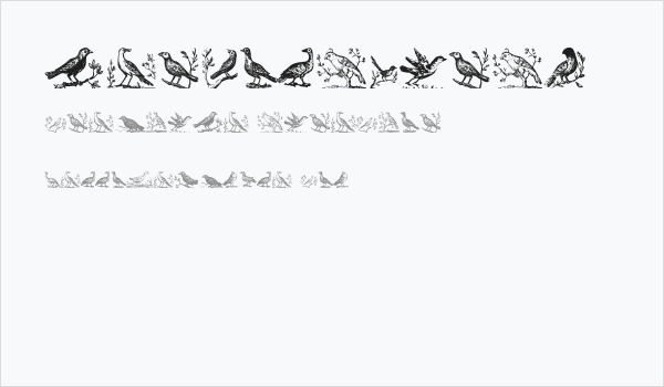 VeryOldBirds Business Card