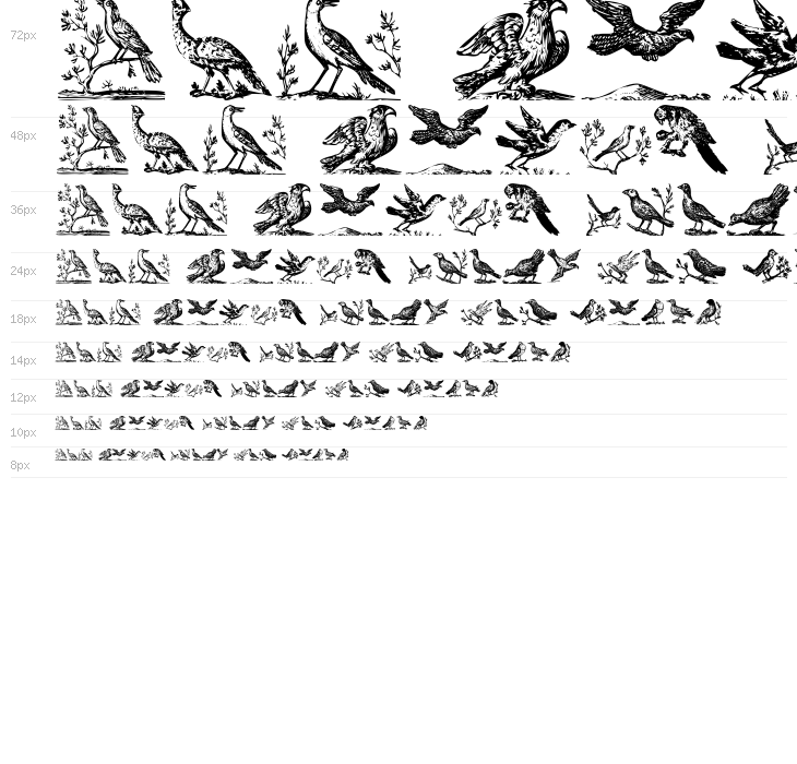 VeryOldBirds Waterfall