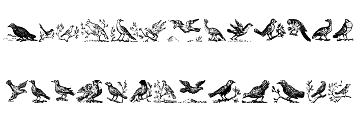 VeryOldBirds Font LOWERCASE