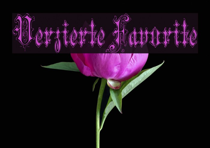 VerzierteFavorite Font examples