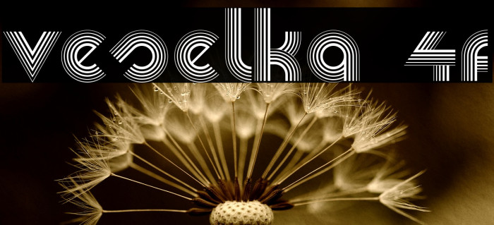 Veselka 4F Font examples