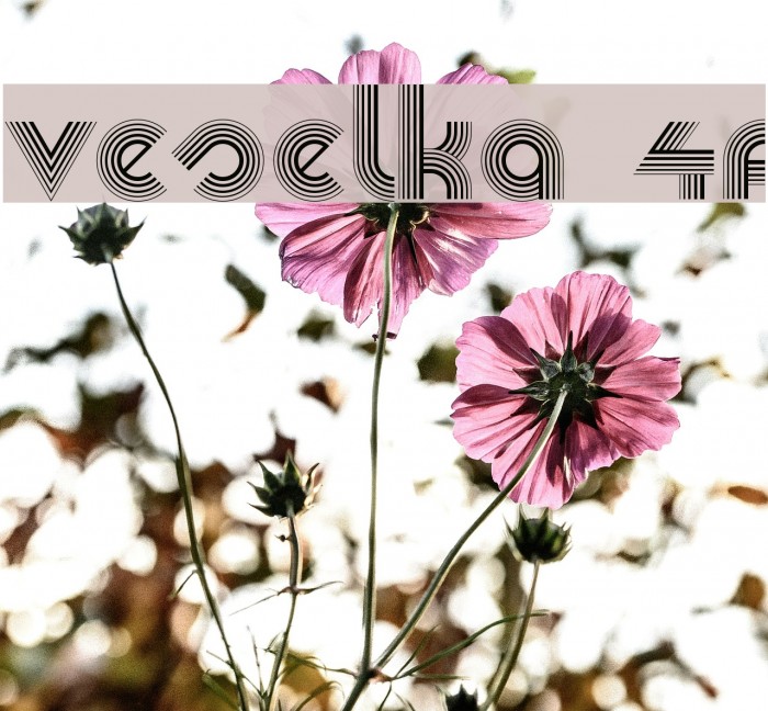 Veselka 4F Font examples