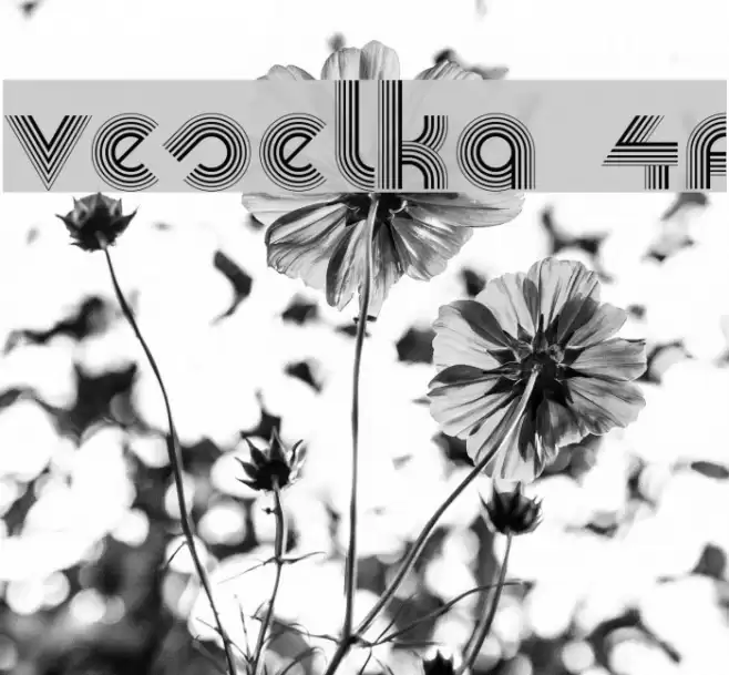 Veselka 4F Font examples