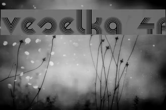 Veselka 4F Font examples