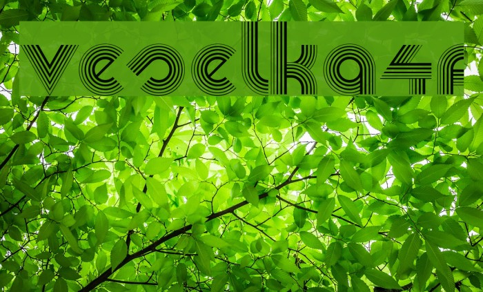 Veselka4F Fonte examples