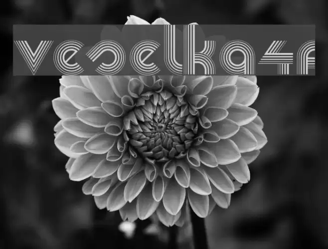 Veselka4F Font examples