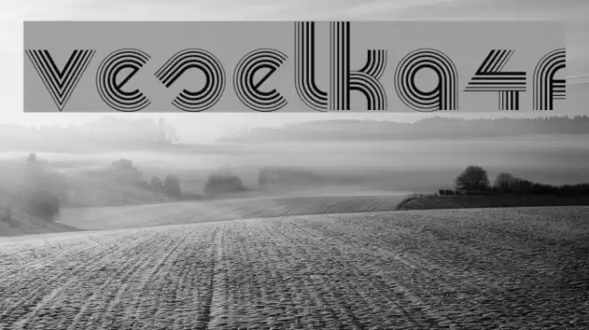 Veselka4F Font examples
