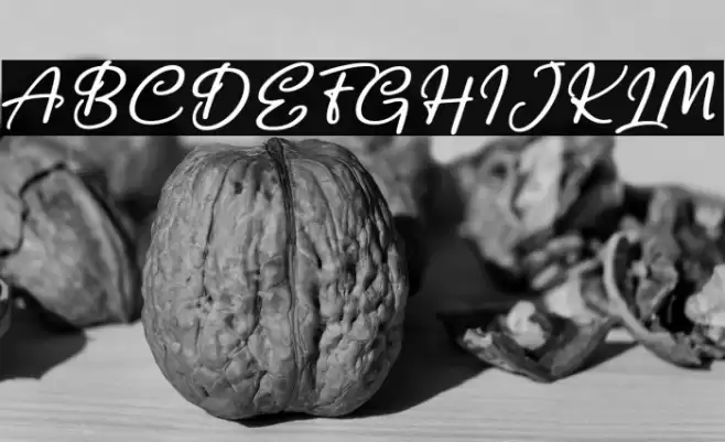 Vesetia Font examples