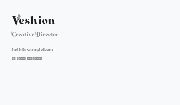 Veshion Business Card