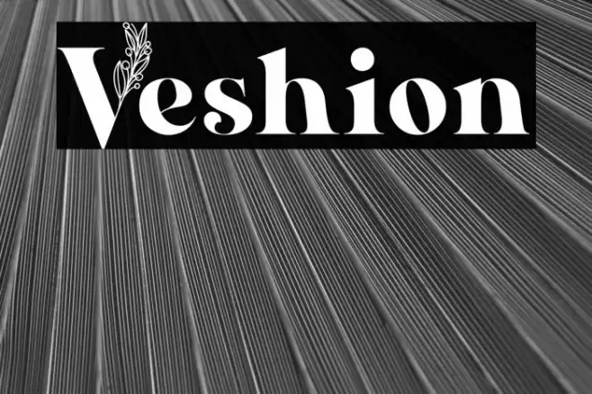 Veshion Font examples