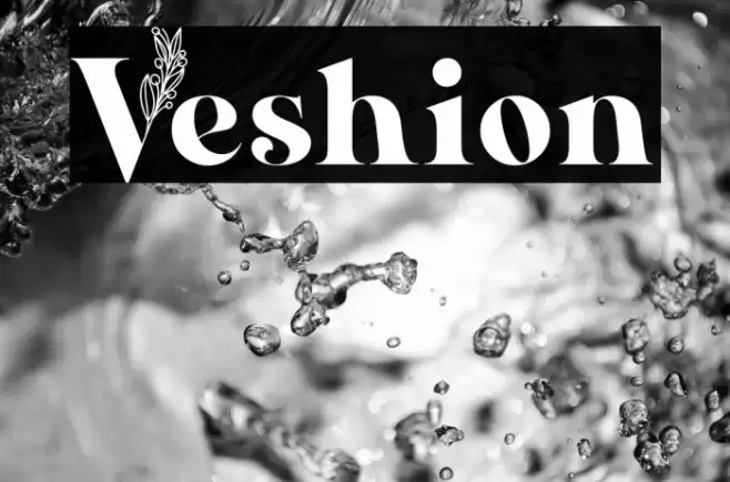 Veshion Font examples