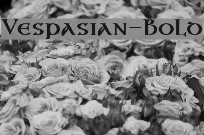 Vespasian-Bold Polices examples