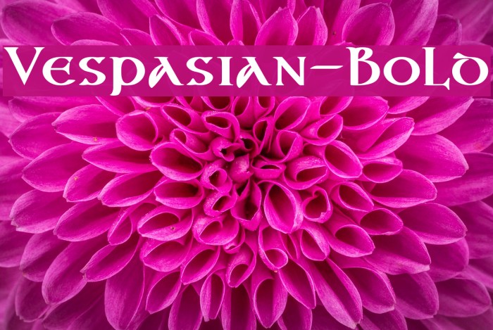 Vespasian-Bold Polices examples