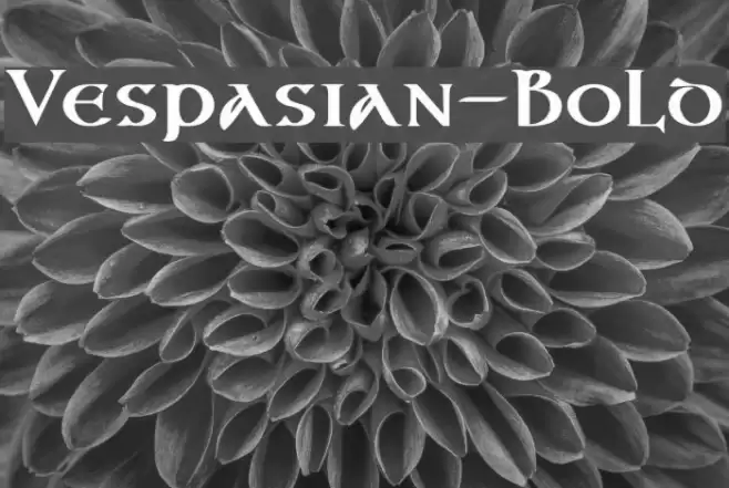 Vespasian-Bold Polices examples