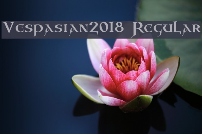 Vespasian2018 Regular Font examples