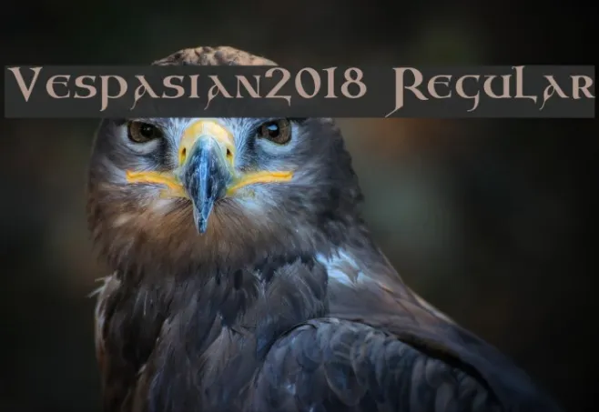Vespasian2018 Regular Example 2
