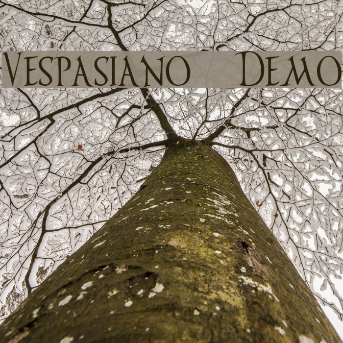 Vespasiano Demo フォント examples
