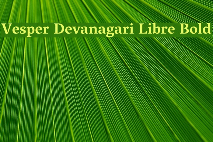Vesper Devanagari Libre Bold Font examples