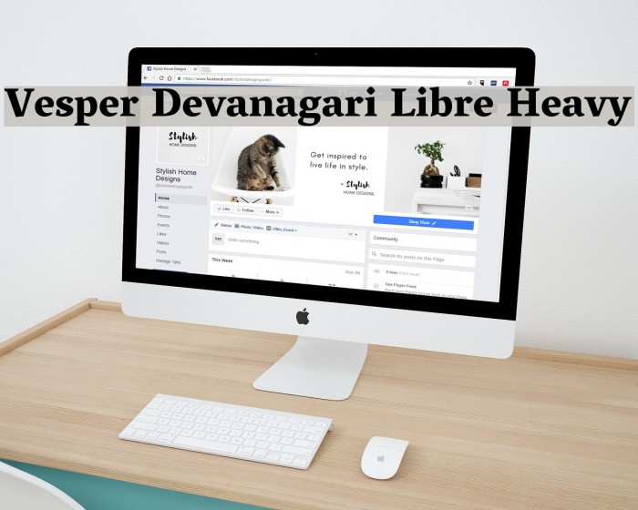 Vesper Devanagari Libre Heavy Font examples