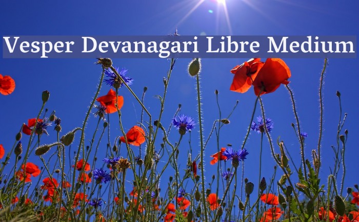 Vesper Devanagari Libre Medium Font examples
