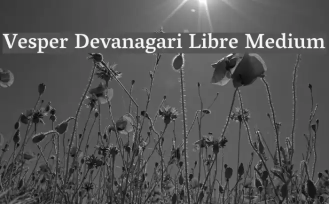 Vesper Devanagari Libre Medium Fuentes examples