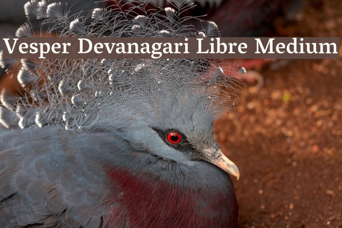 Vesper Devanagari Libre Medium Font examples