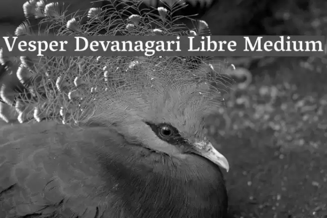 Vesper Devanagari Libre Medium Fuentes examples