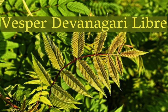 Vesper Devanagari Libre Font examples