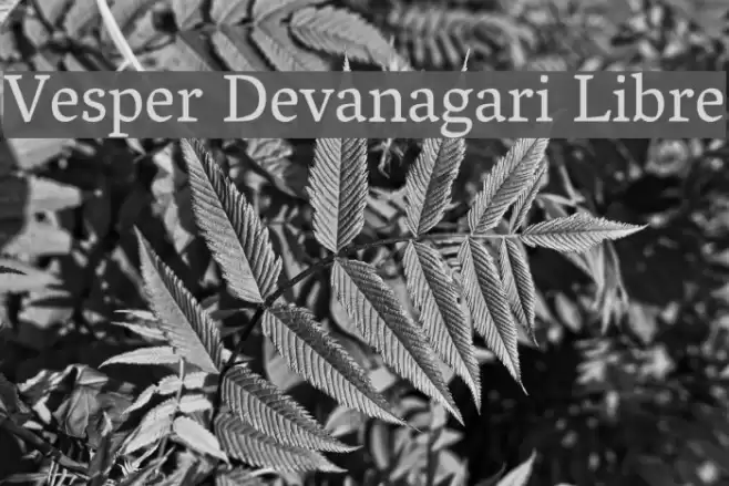 Vesper Devanagari Libre Schriftart examples