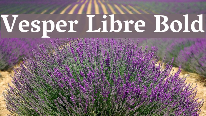 Vesper Libre Bold Font examples