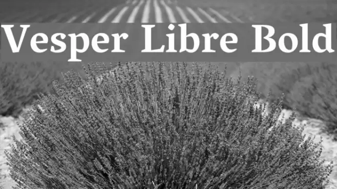 Vesper Libre Bold examples